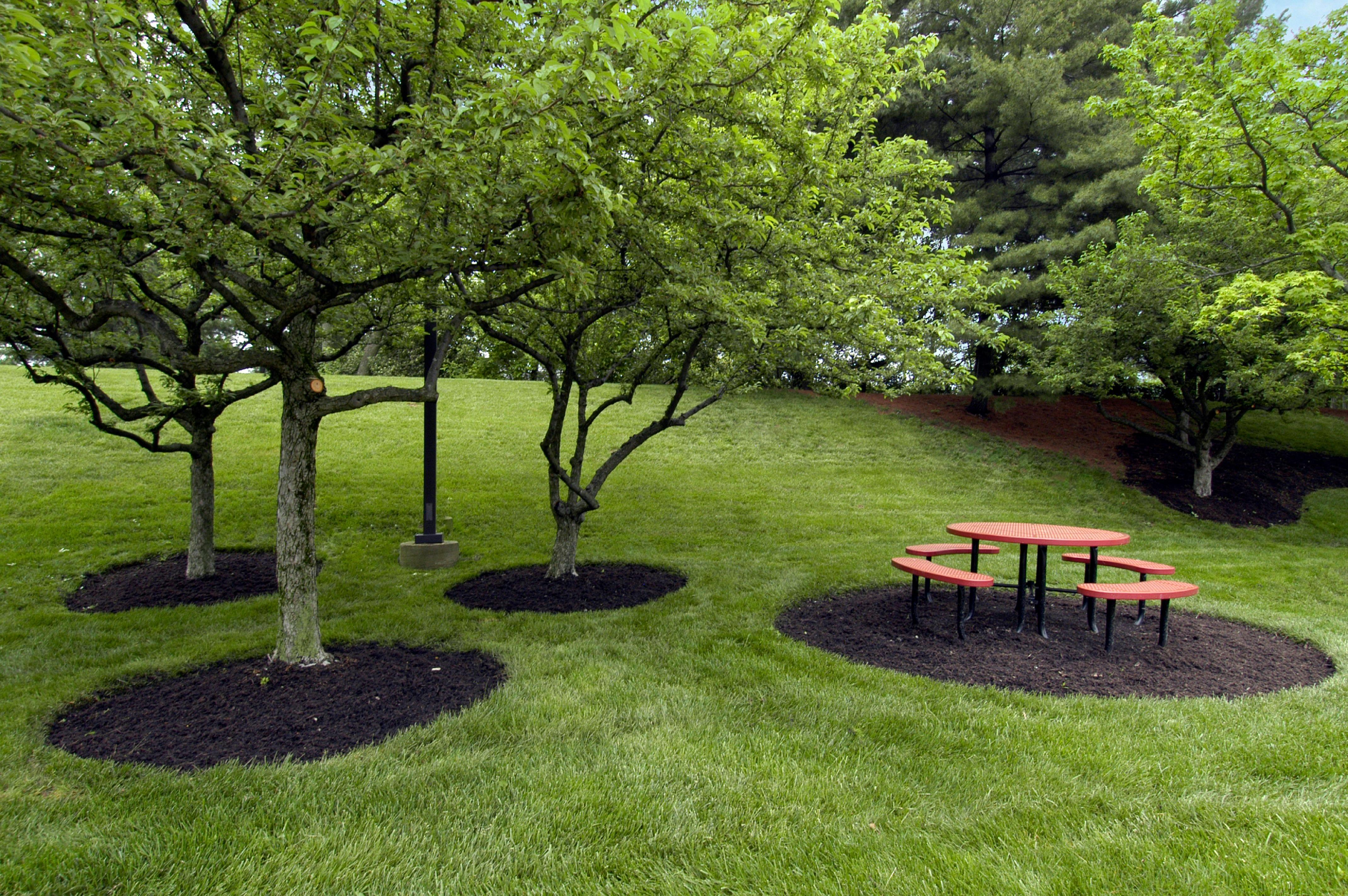 Red Roof Inn Cincinnati Northeast - Blue Ash Luaran gambar