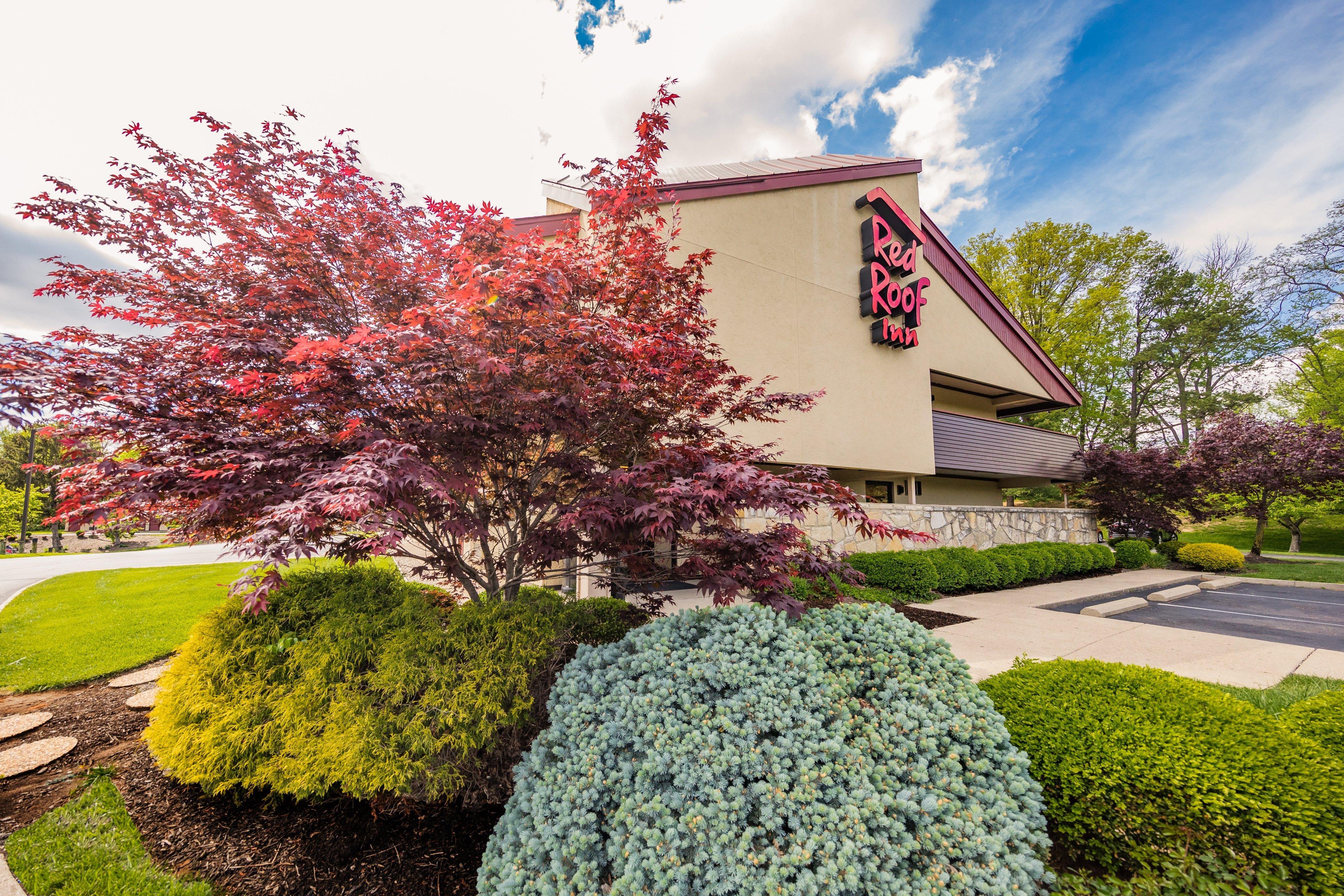 Red Roof Inn Cincinnati Northeast - Blue Ash Luaran gambar