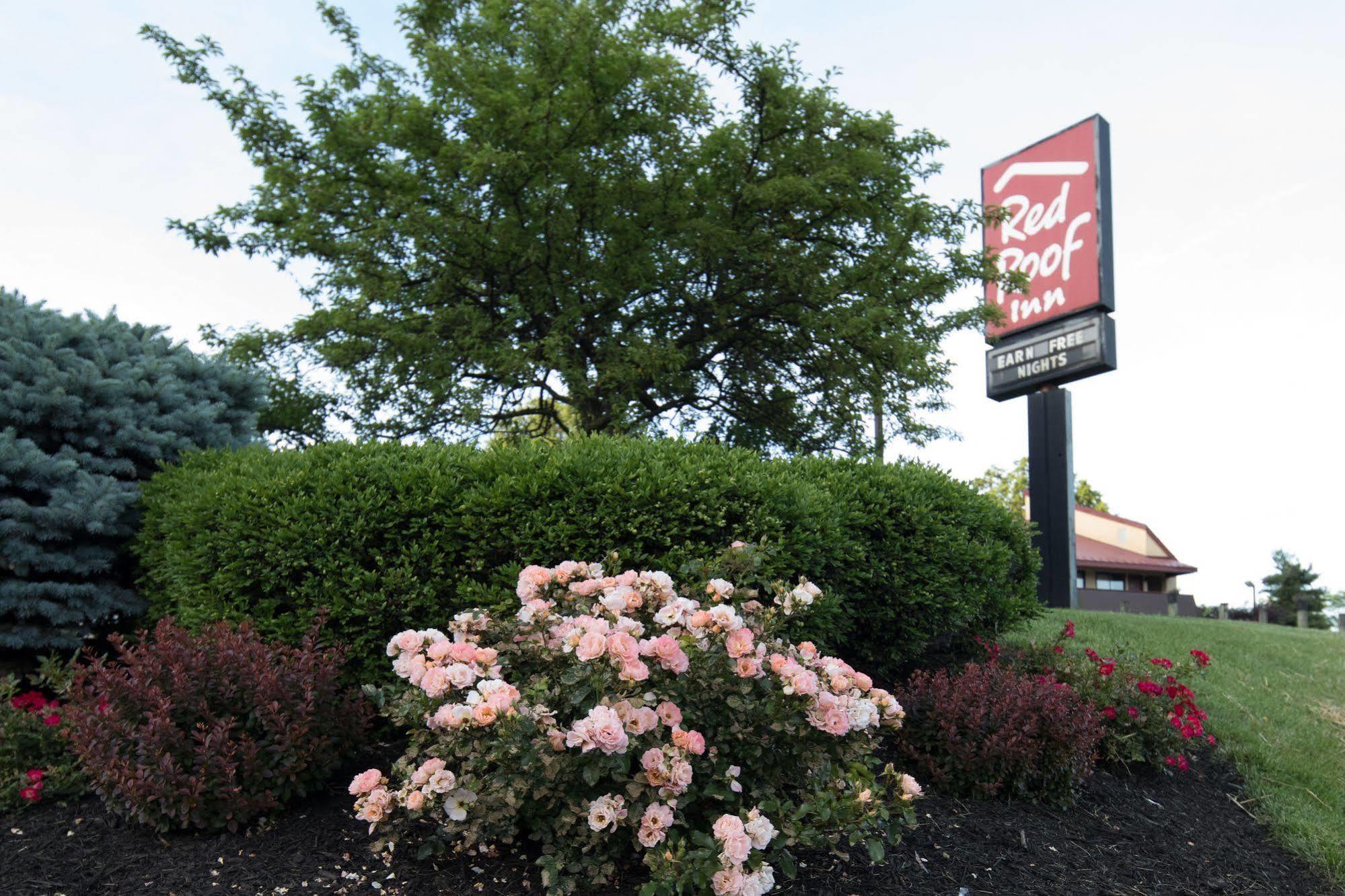 Red Roof Inn Cincinnati Northeast - Blue Ash Luaran gambar